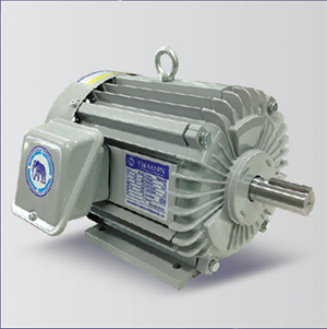 มอเตอร์ 3 Phase  220 / 380 V.  IP55