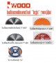 bigwoodSawBlade-IWood-pic1