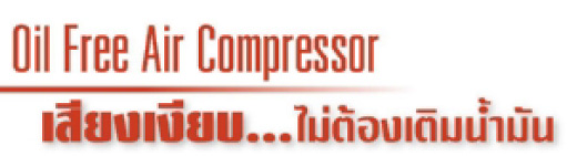 ปั๊มลมโรตารี่ออยฟรี 1 HP ถัง 30 ลิตร BIGAIR รุ่น BAO-10030-text3