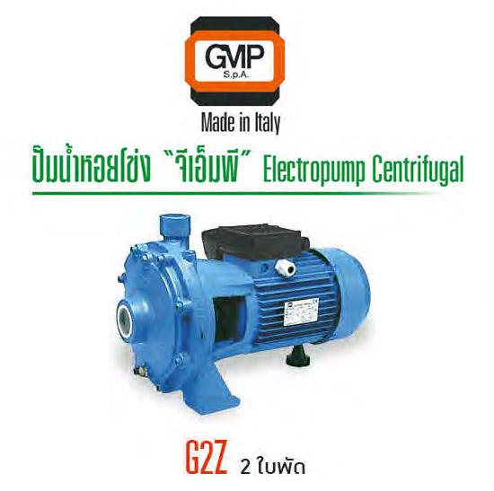 ปั๊มน้ำ 1.5-2 แรงม้า 220 V. รุ่น G2Z ยี่ห้อ GMP Made in Italy