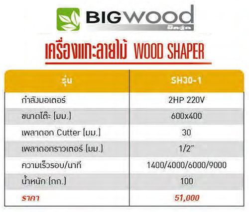 รายละเอียด เครื่องแกะลายไม้ 600x400 มม. BIGWOOD รุ่น SH-30-1