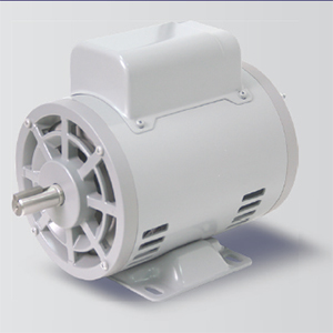 สเปคมอเตอร์ 220V SplitPhase Start-tsm-1